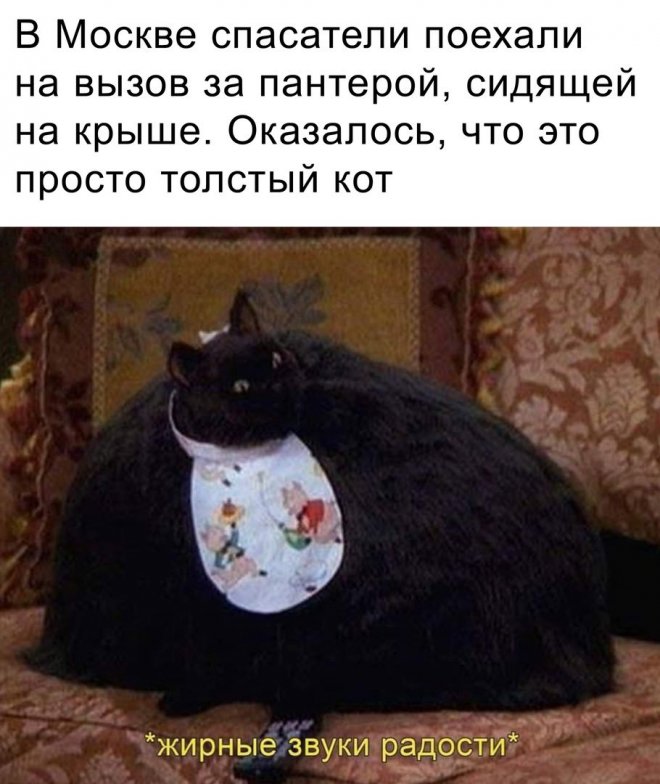 �������� ������ ����� � �������� (35 ����)