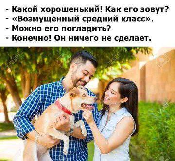�������� ������ ����� � �������� (35 ����)