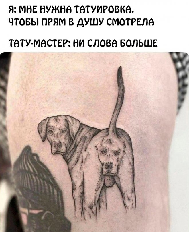�������� ������ ����� � �������� (35 ����)