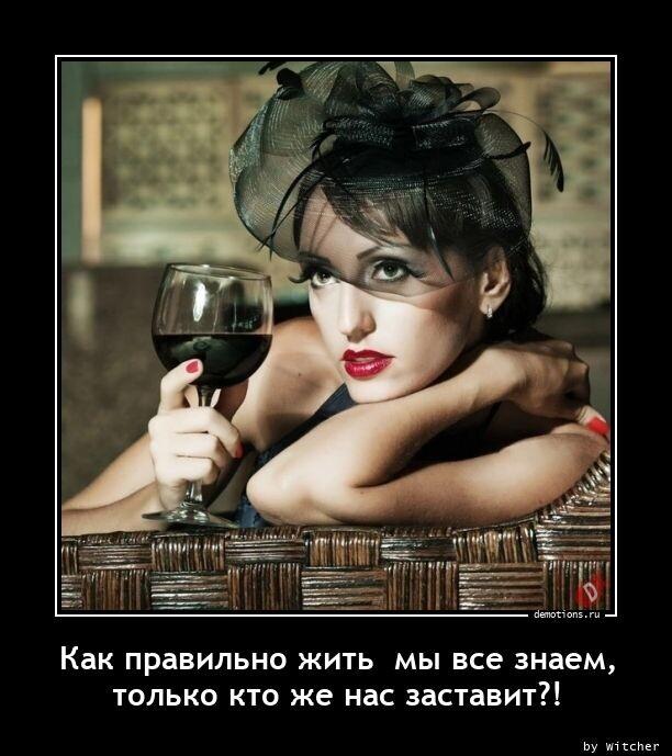 Демотиваторы пятницы (15 фото)