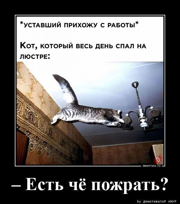 Демотиваторы пятницы (15 фото)