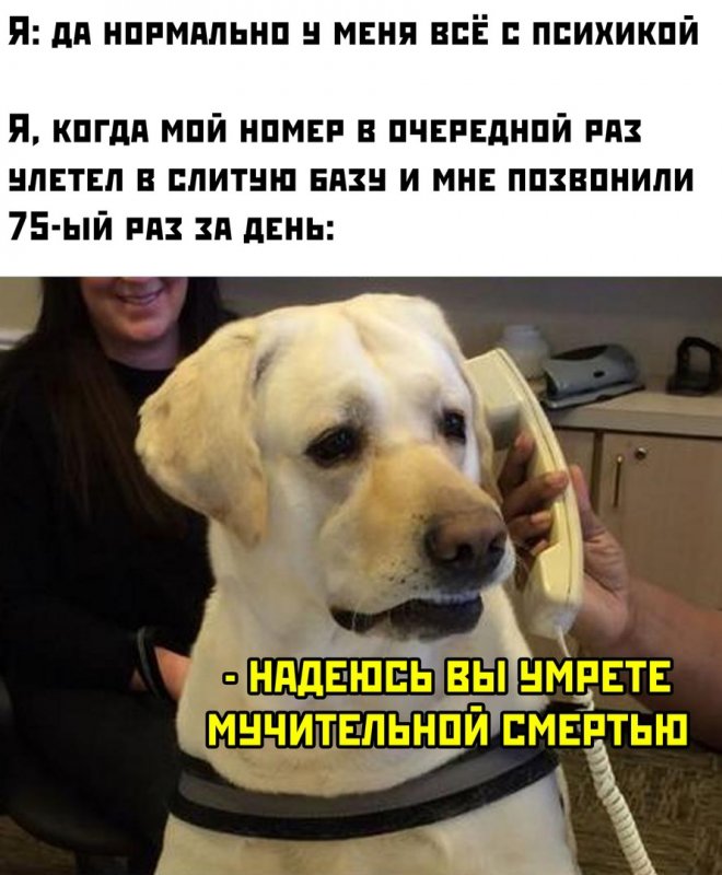 !     (25 )