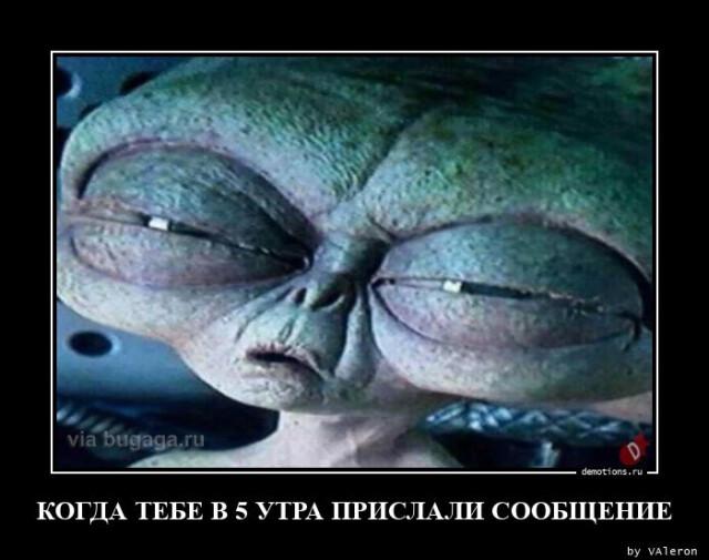 Демотиваторы пятницы (20 фото)