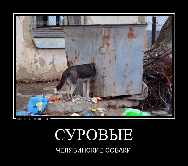 Демотиваторы пятницы (20 фото)