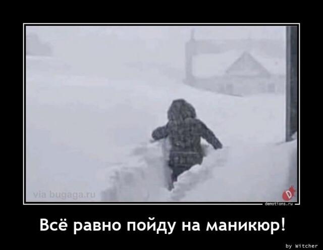 Демотиваторы пятницы (20 фото)