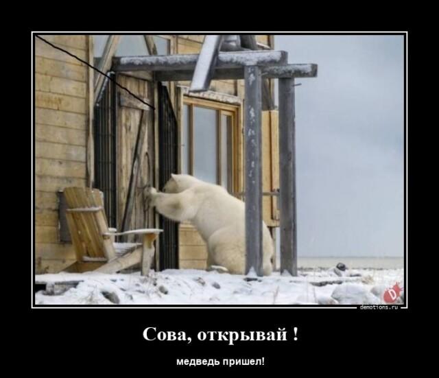 Демотиваторы четверга (16 фото)