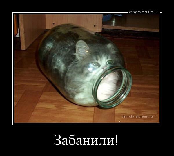 Демотиваторы четверга (16 фото)
