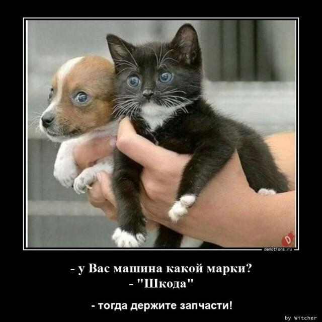 Демотиваторы четверга (16 фото)