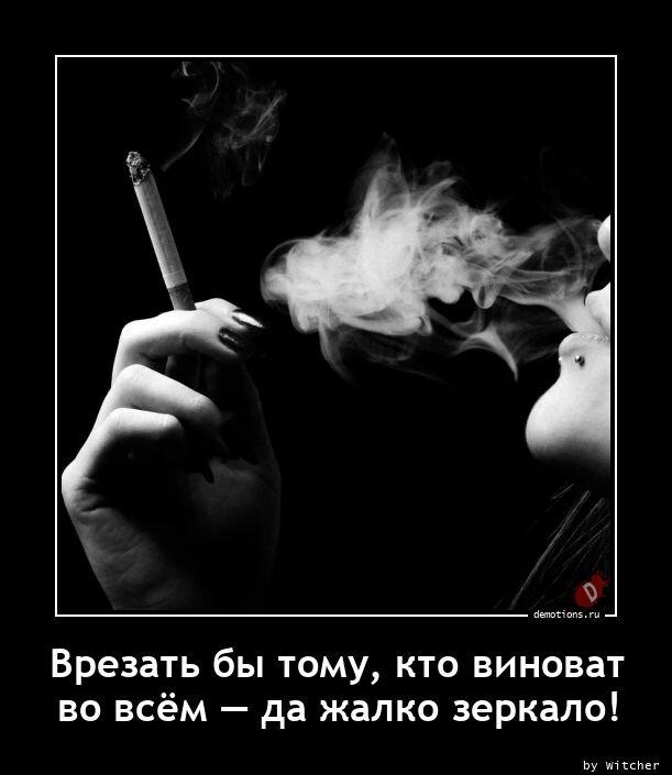 Демотиваторы пятницы (16 фото)