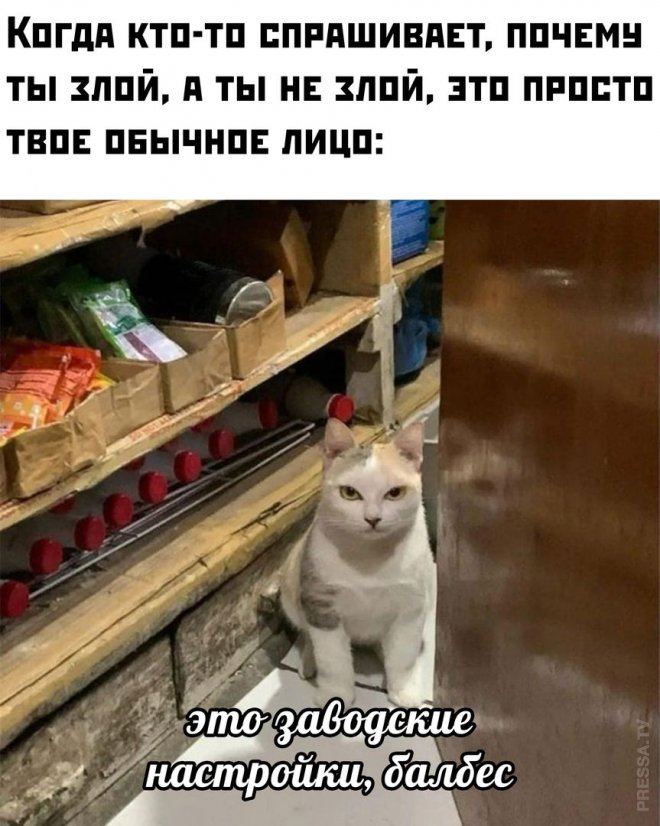 �������� ������ �������� � ����� �� ���� (28 ����)