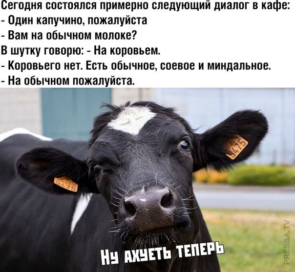 �������� ������ �������� � ����� �� ���� (28 ����)