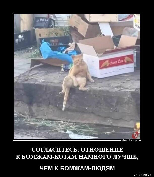 Демотиваторы вторника (16 фото)