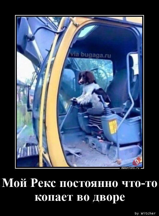 Демотиваторы среды (20 фото)