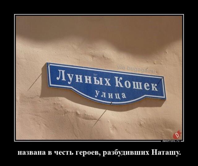 Демотиваторы среды (20 фото)