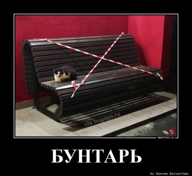 Демотиваторы среды (20 фото)