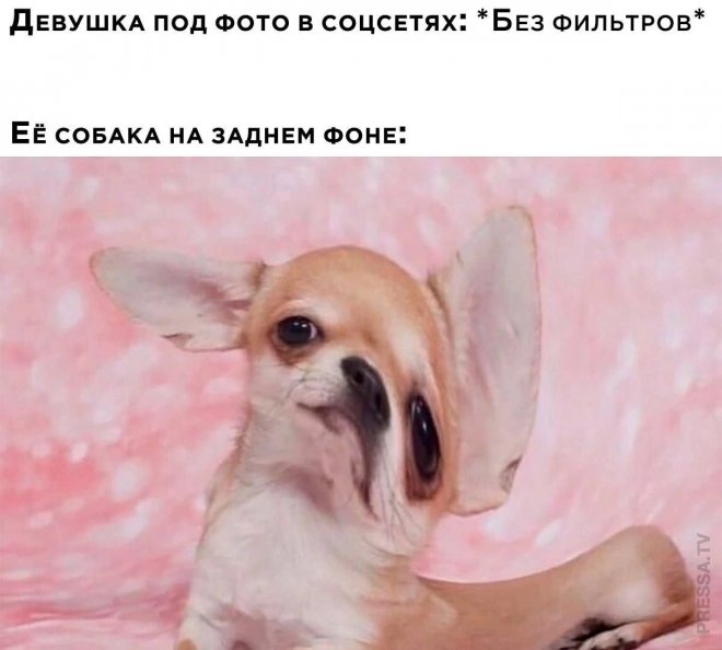 Веселые приколы и мемы из сети (33 фото)