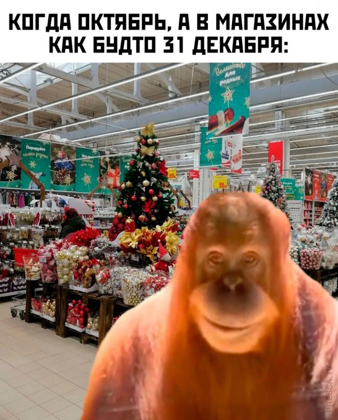 Веселые приколы и мемы из сети (33 фото)