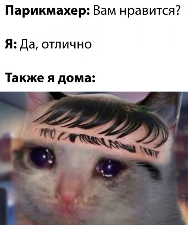 !      (35 )