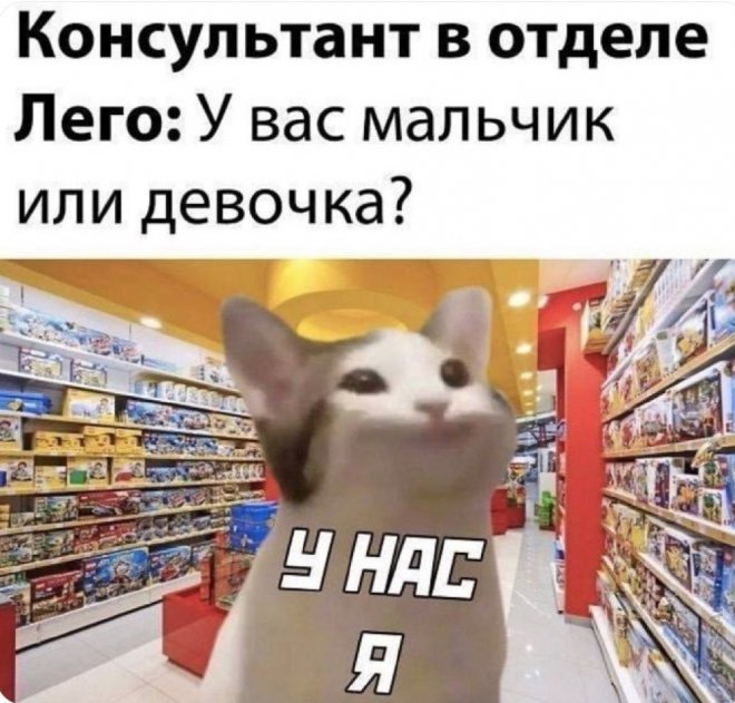 ���������! �������� ������ ����� � �������� �� ���� (35 ����)