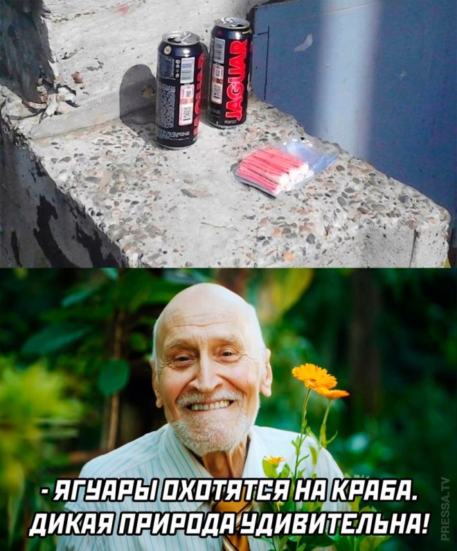 ���������! �������� ������ ����� � �������� �� ���� (35 ����)