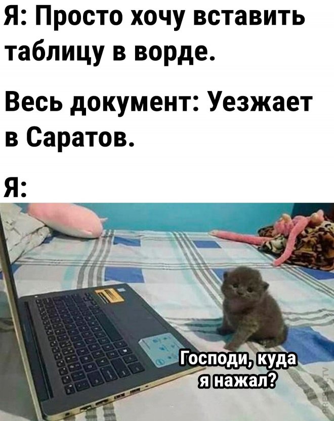 ���������! �������� ������ ����� � �������� �� ���� (35 ����)
