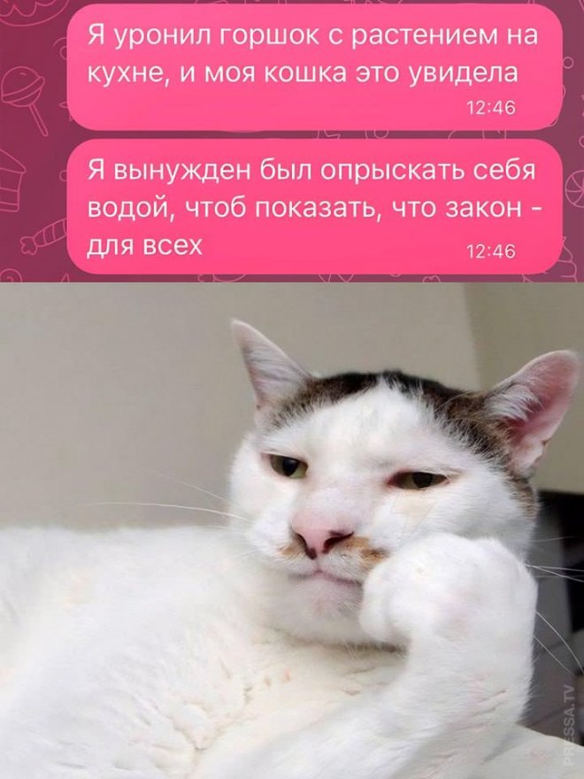 Улыбочку! Смешные мемы и приколы из сети (35 фото)