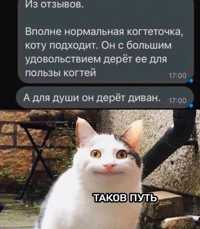 Улыбочку! Смешные мемы и приколы из сети (35 фото)