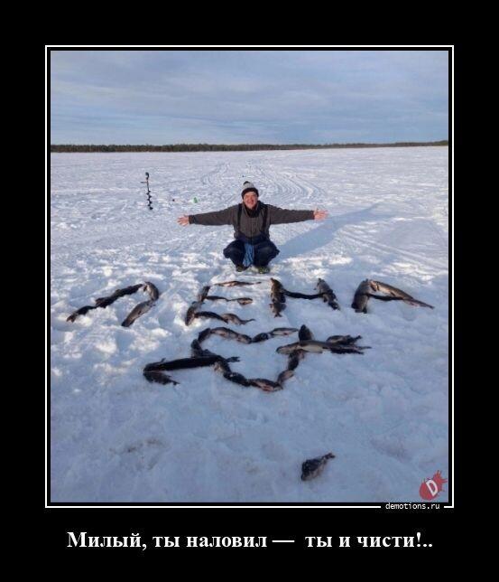 ������������ �������� (15 ����)