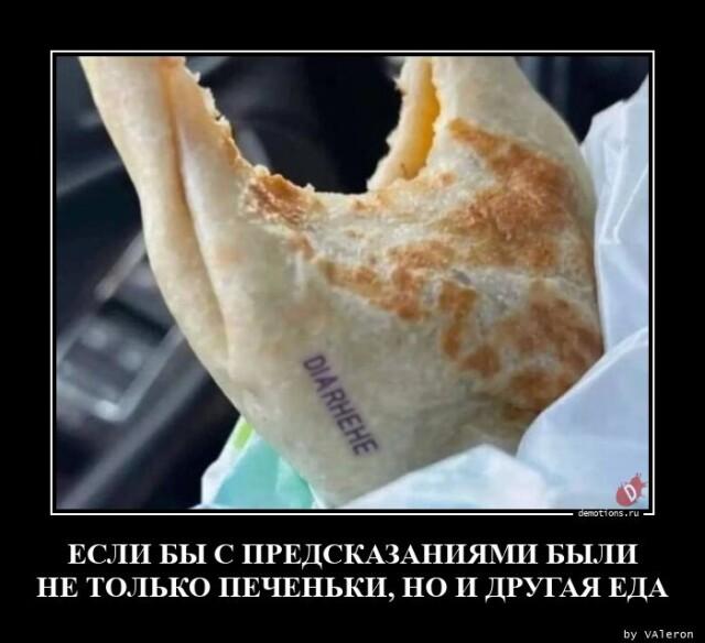 ������������ �������� (15 ����)