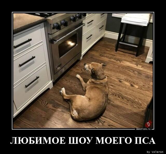 ������������ �������� (15 ����)