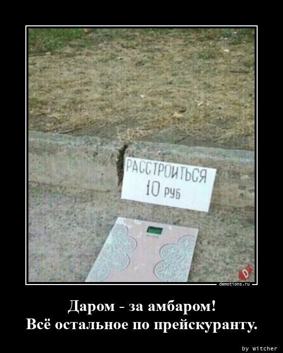 ������������ �������� (15 ����)