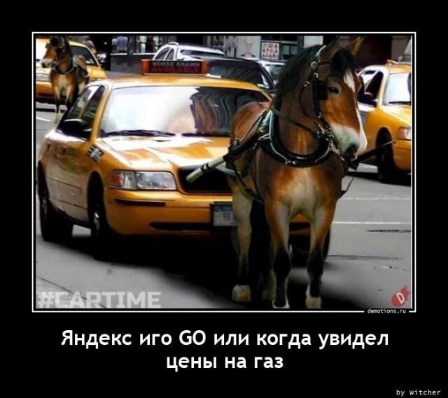 ������������ �������� (15 ����)