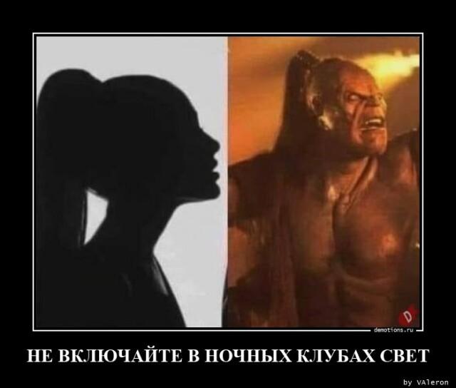 ������������ �������� (15 ����)