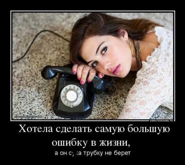 ������������ �������� (15 ����)