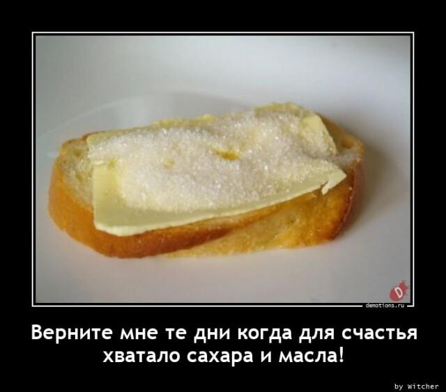 ������������ �������� (15 ����)