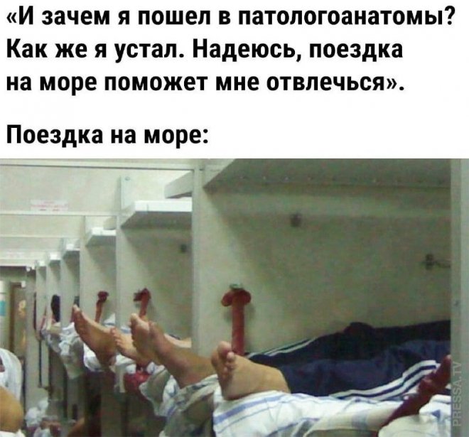 Веселые мемы и приколы из сети (35 фото)