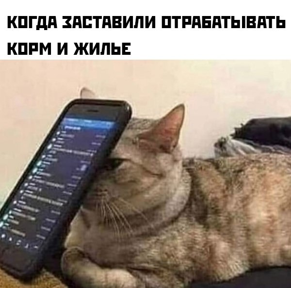 Ассорти мемов и приколов (36 фото)