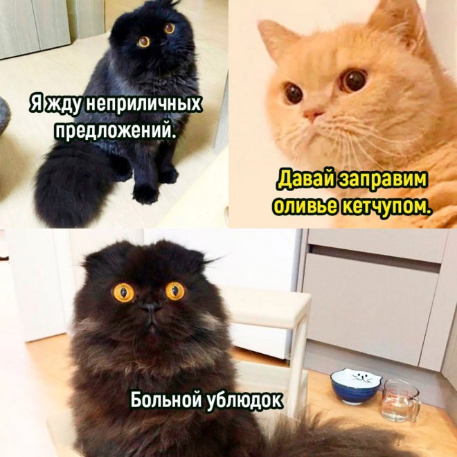 Ассорти мемов и приколов (36 фото)