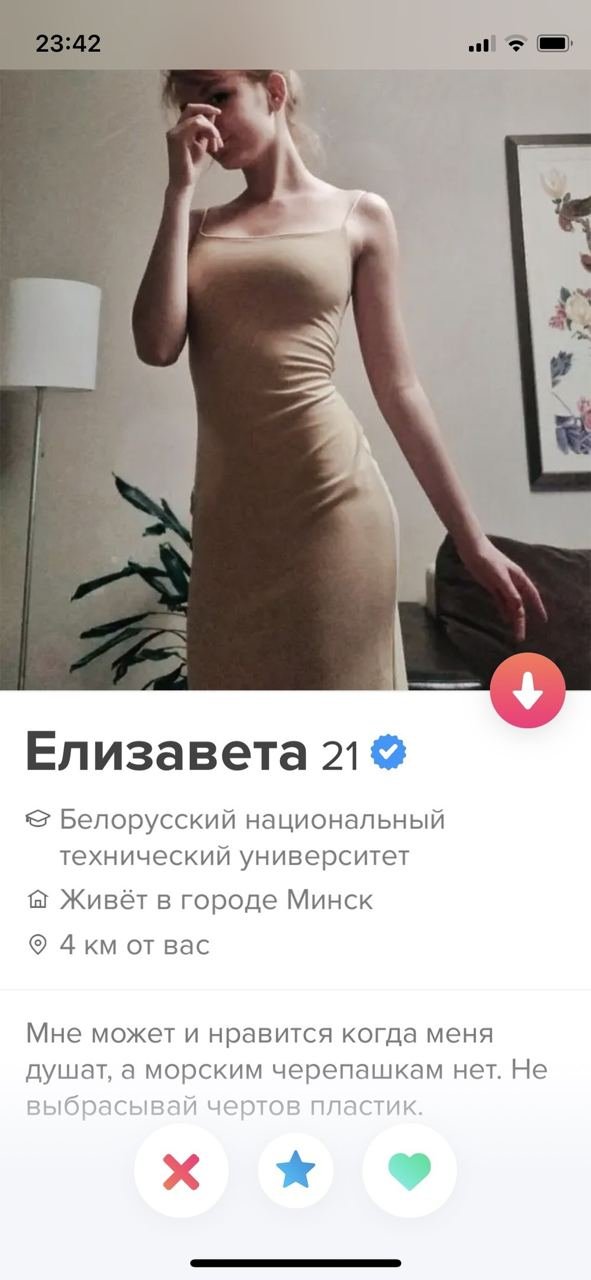   Tinder (16 )