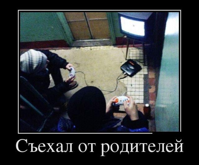 Демотиваторы среды (16 фото)