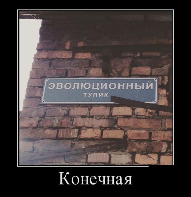 Демотиваторы среды (16 фото)