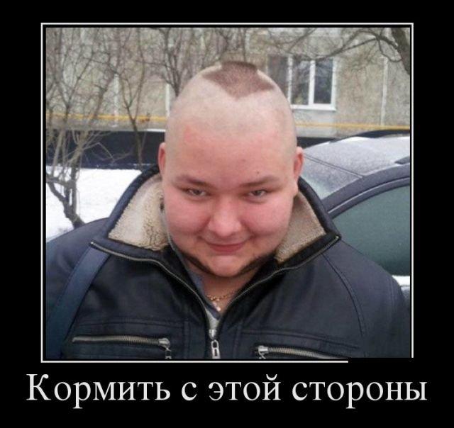 Демотиваторы среды (16 фото)