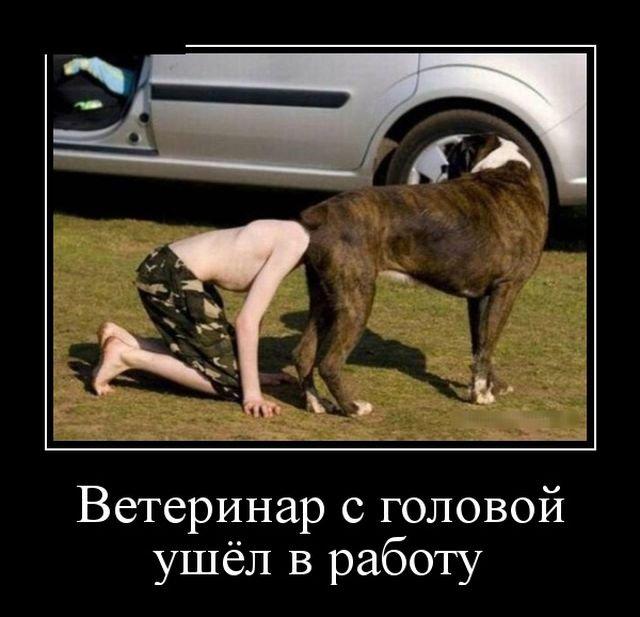 Демотиваторы среды (16 фото)