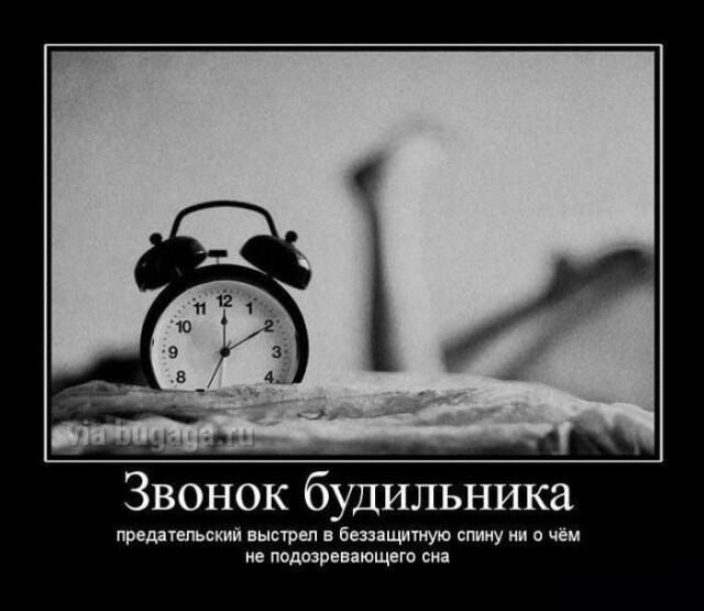 Демотиваторы пятницы (15 фото)