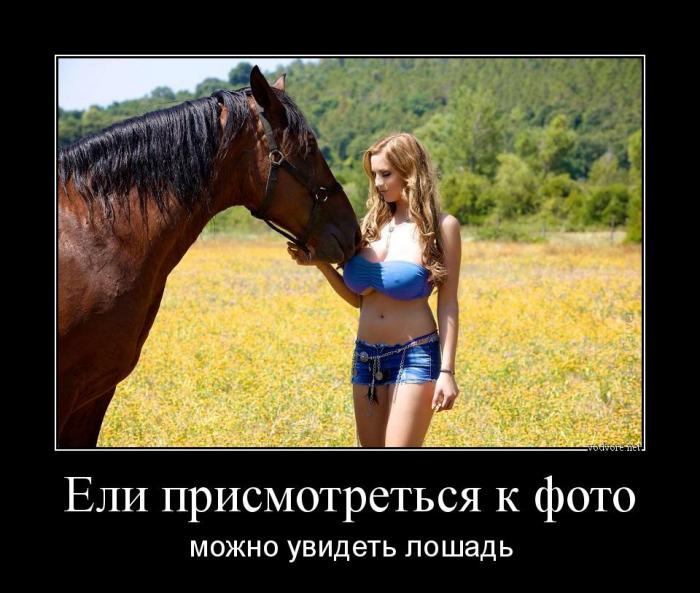 Демотиваторы понедельника (14 фото)