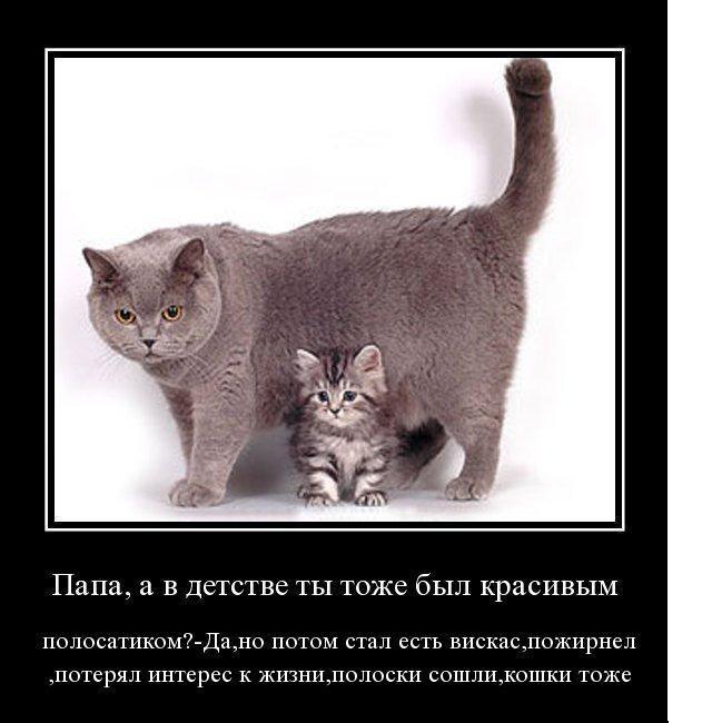 Демотиваторы понедельника (14 фото)