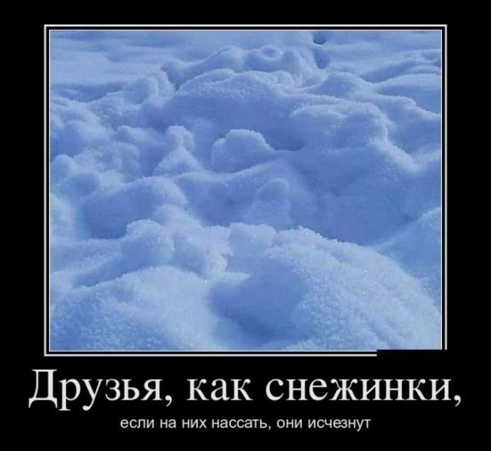 Демотиваторы понедельника (14 фото)