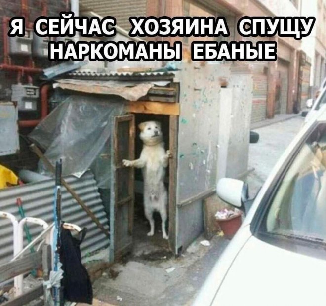 Веселая подборка мемов и приколов (35 фото)