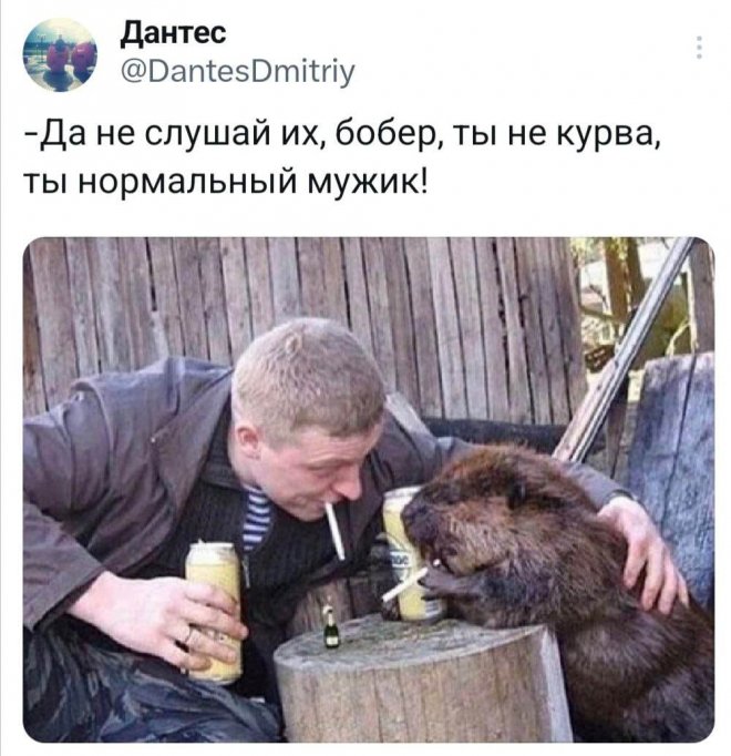 Веселые мемы и приколы (30 фото)