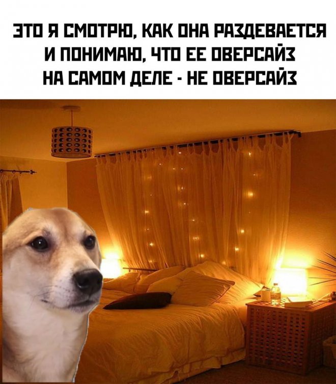 Ассорти свежих приколов и мемов (30 фото)
